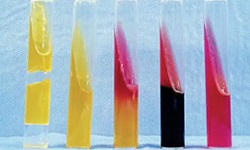 Kliger’s Iron Agar (KIA)